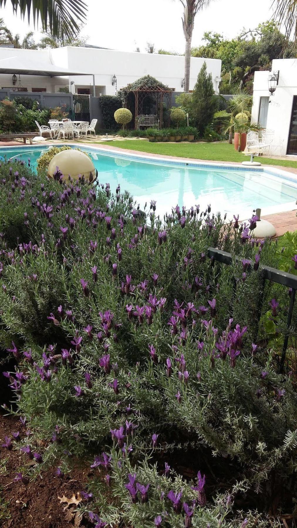 דרבנוויל Cape Pillars Boutique Hotel מראה חיצוני תמונה